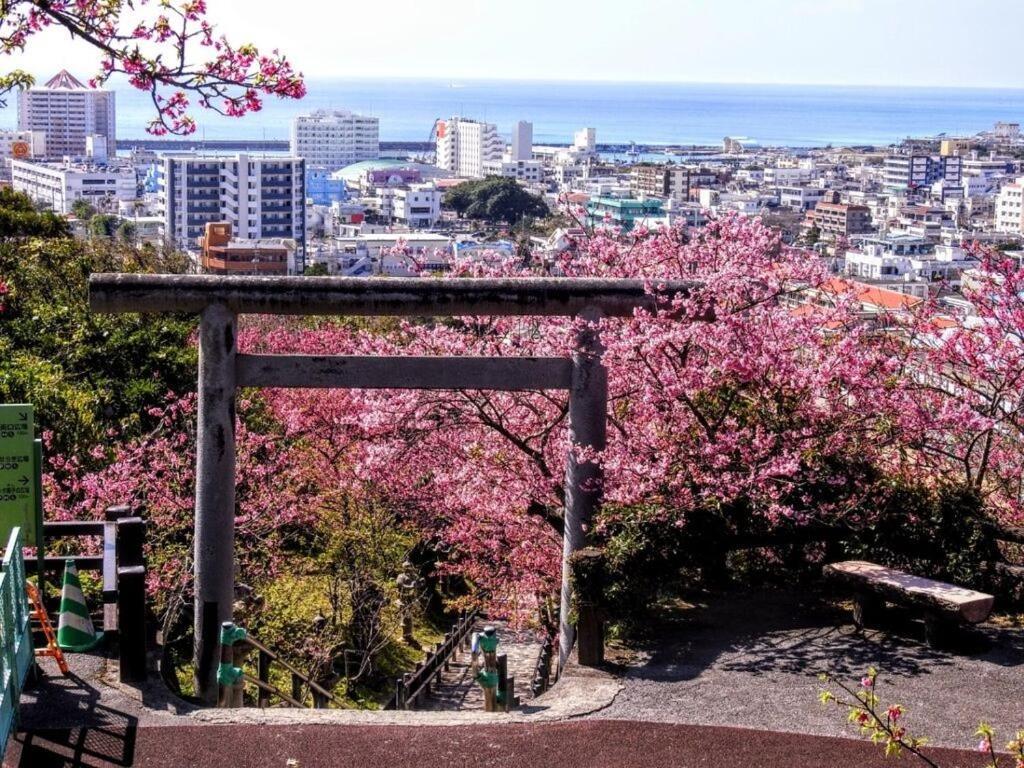 Mizunowa B035 Villa Nago Exteriör bild
